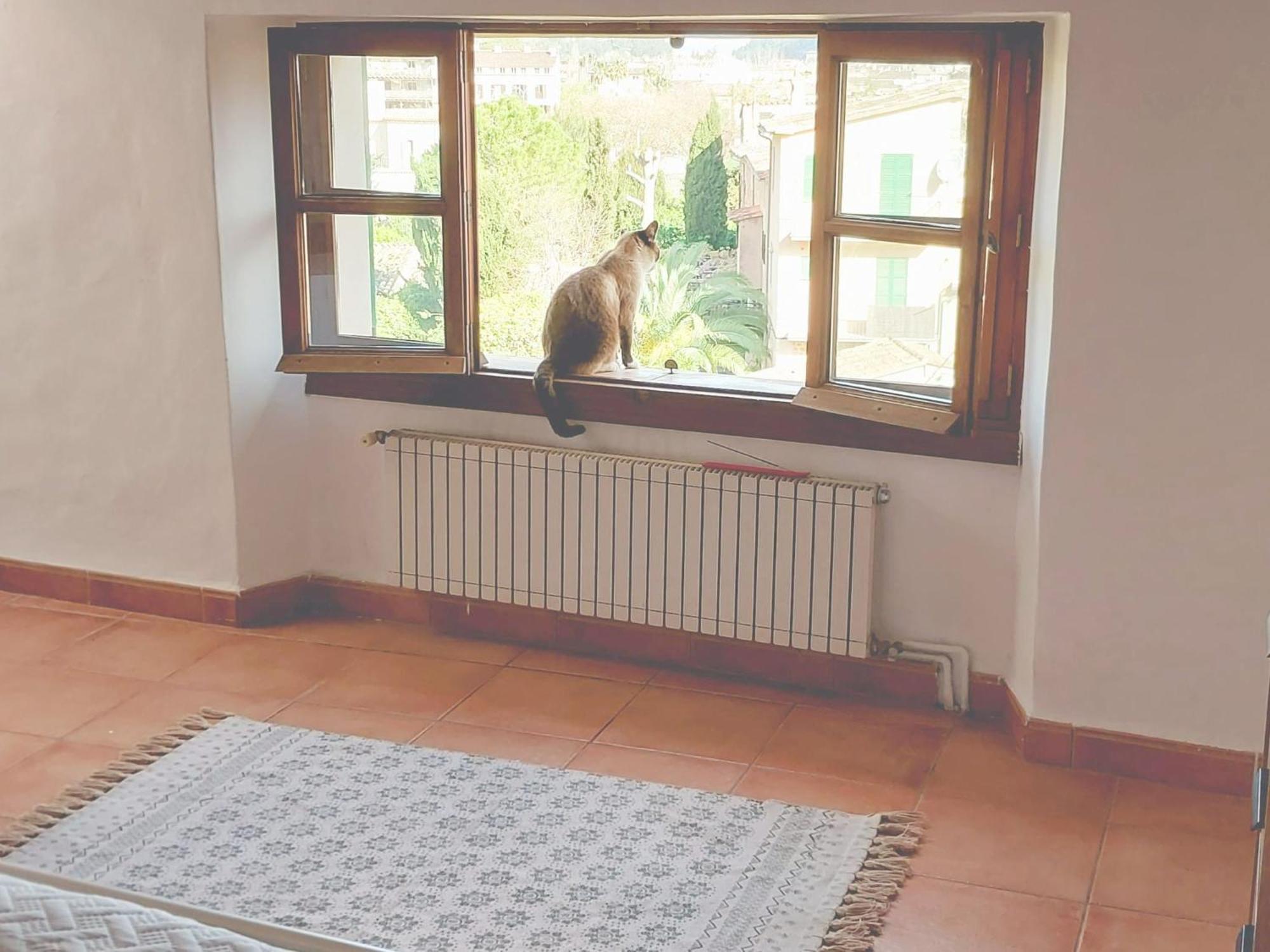 Casa Vallibre Villa *