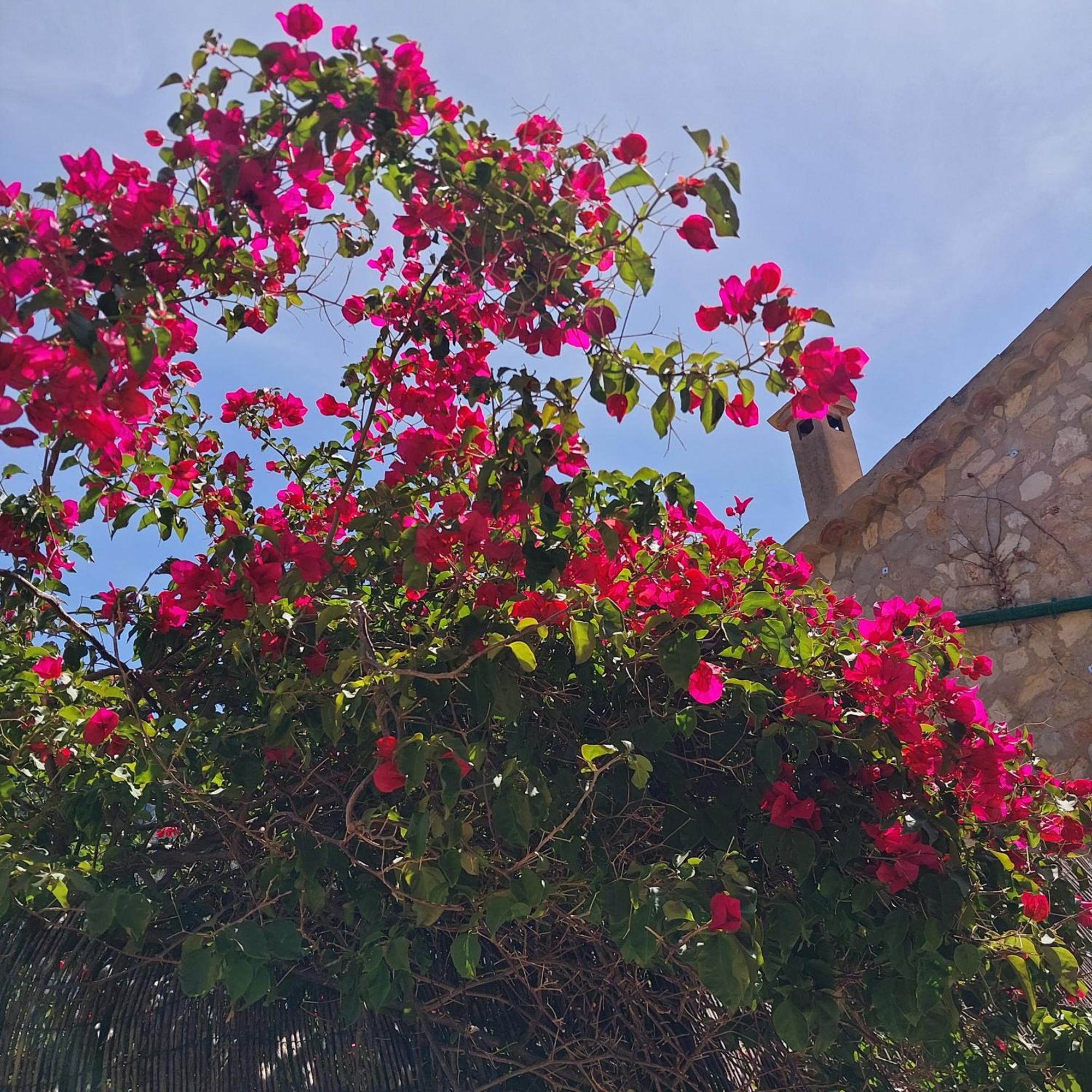 Casa Vallibre